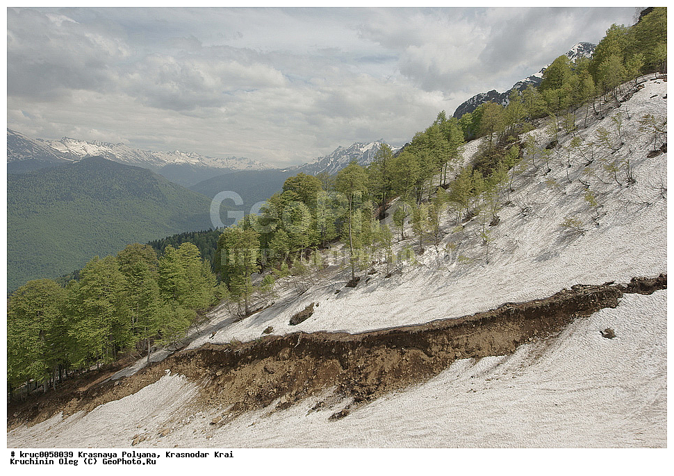 ������, ������ �����, �����, ����, ���, ������, ���������� ����, �������, ������, ����, ������, ������������� ����, ��������� �����, ����, ������� ������