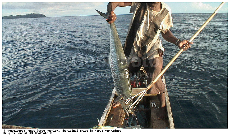 ������,���� ��������, ����� ������ ����������� ���, �������, �������������� ���, ��������� ����� �����, �������, ���� �����������, �������� ���, �������� ���������, ����, ����� ����������, �������, ����������� �������, �������, ���������� ������, ���������