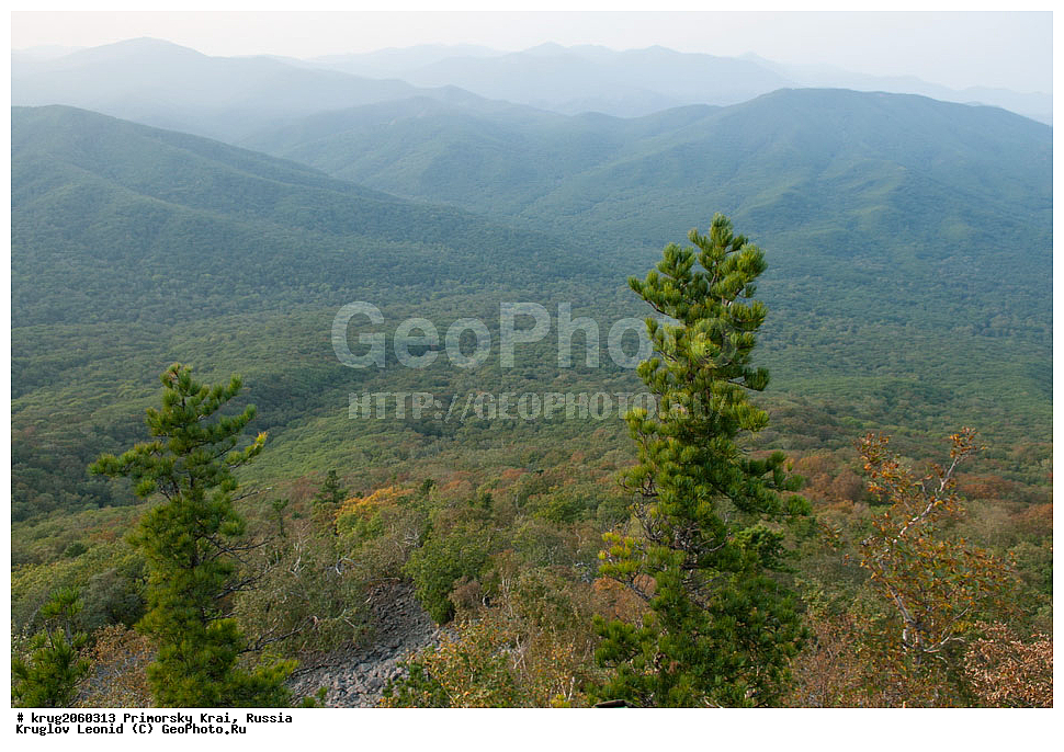 ���������� ����, ��������, ������� ������, ������-�������� ��������������� ���������� ��������� ����������, ���������, ������-�����, �����-�����