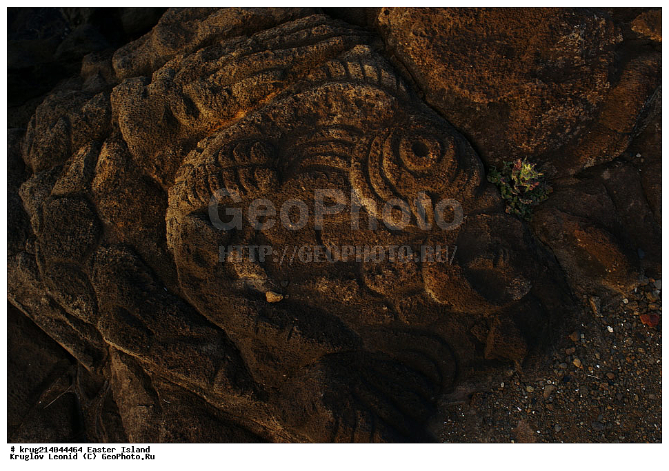 ������ �����, ����