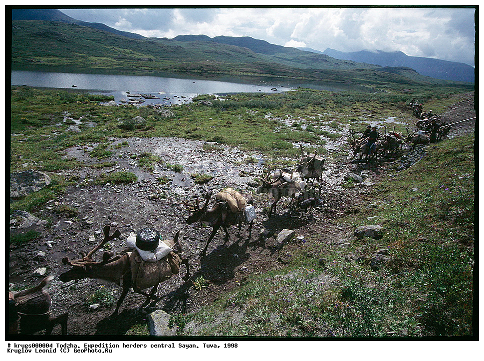 �����, ���������� ,  ���������,  �����, ����, 1998, ��������� ����