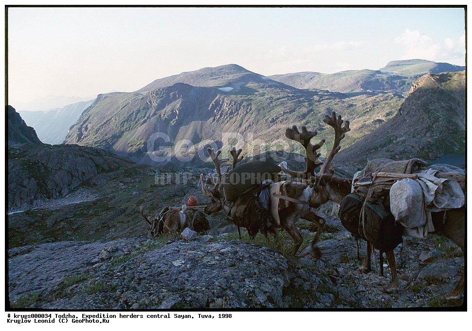 �����, ���������� ,  ���������,  �����, ����, 1998, ��������� ����