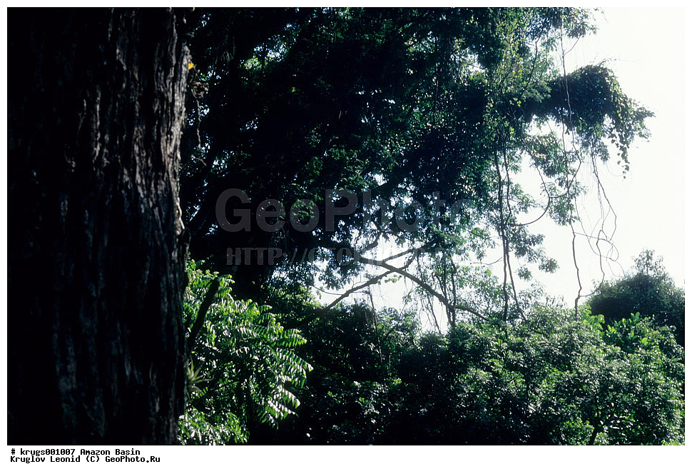 ��������� �������, ����� �������, ��������, ����, ��������, ��������, �������, ��������, ���������, �������� ���