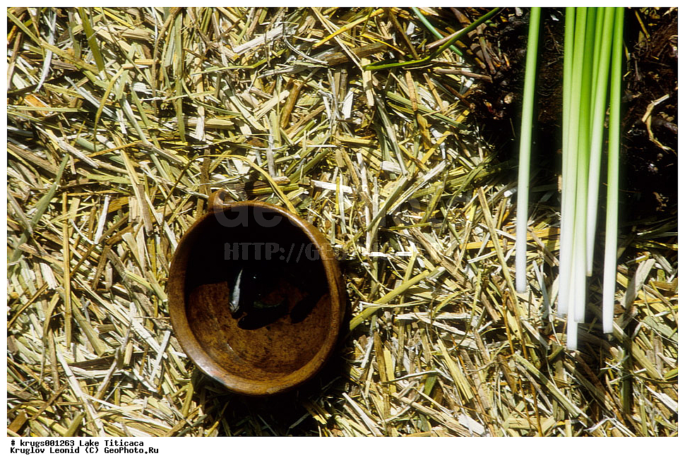 ����- �������, ����� ��������, �������� ������, �������� �������, ��������, ��������� �������, ����� �������, ����