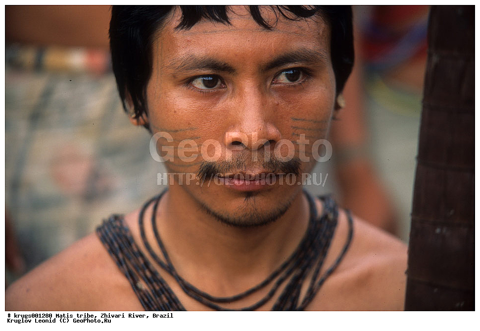 ��������� �������, ����� �������, ��������, ��������, �������, ��������, ����� �����, ����, ������