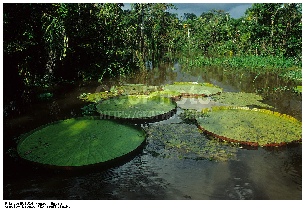 ��������� �������, ����� �������, ��������, ����, ��������, ��������, �������, ��������, ���������, �������� ���