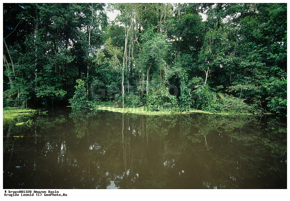 ��������� �������, ����� �������, ��������, ����, ��������, ��������, �������, ��������, ���������, �������� ���