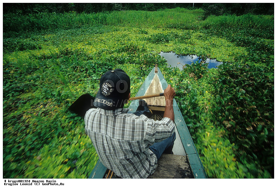 ��������� �������, ����� �������, ��������, ����, ��������, ��������, �������, ��������, ���������, �������� ���