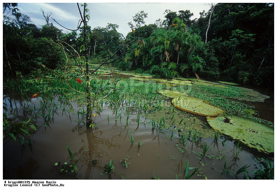 ��������� �������, ����� �������, ��������, ����, ��������, ��������, �������, ��������, ���������, �������� ���