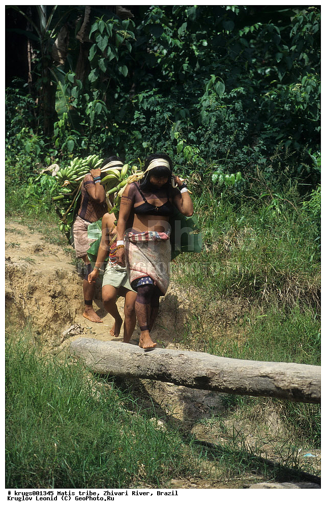 ��������� �������, ����� �������, ��������, ��������, �������, ��������, ����� �����, ����, ������