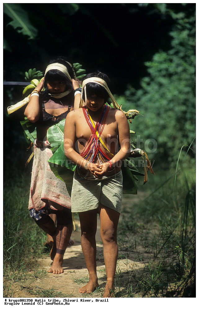 ��������� �������, ����� �������, ��������, ��������, �������, ��������, ����� �����, ����, ������