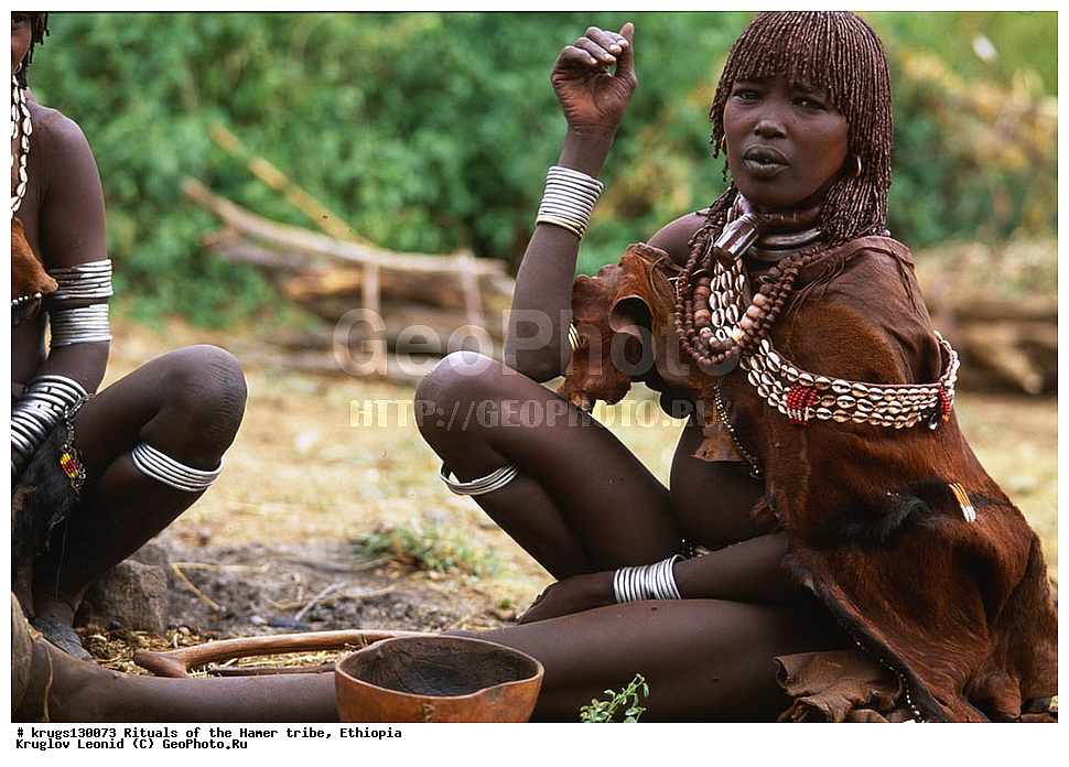 ������, �����, �����, �������