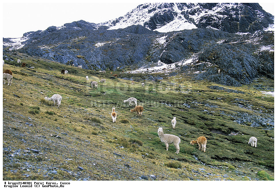 ��������� �������, ����� �������, ����, �����, �����