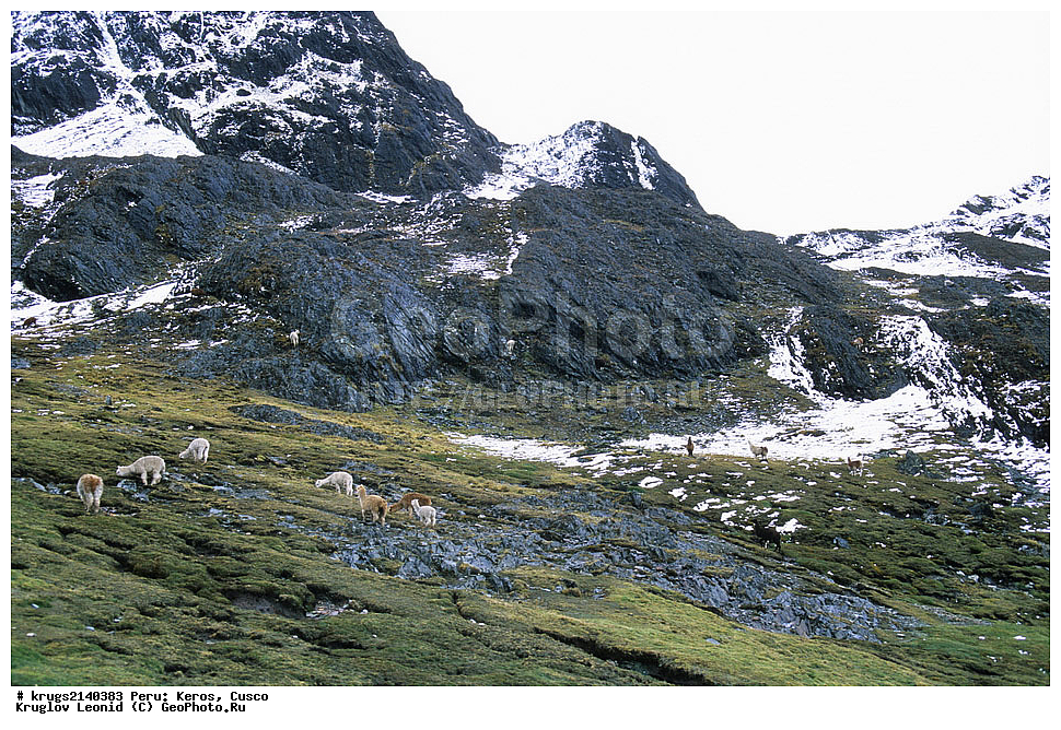 ��������� �������, ����� �������, ����, �����, �����