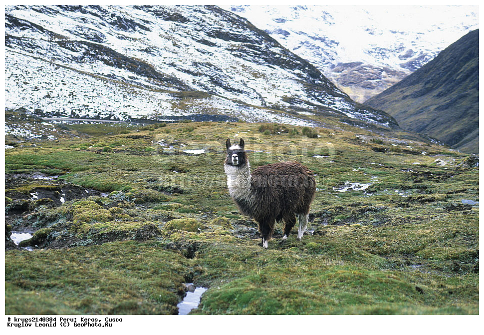 ��������� �������, ����� �������, ����, �����, �����