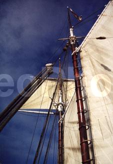 19 ���, XIX, �������, ������������, �����������, ����������, ���� ���, ��������, ����� ��������, ����, ������, ���������, �������, �����, ����, �������, ����, �����, ��������, ������, �������, ��������, ������, �������, ���, ������, ������, �����, ���, ����