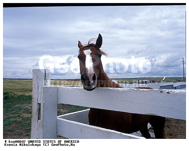 �����, ���, ����� ������