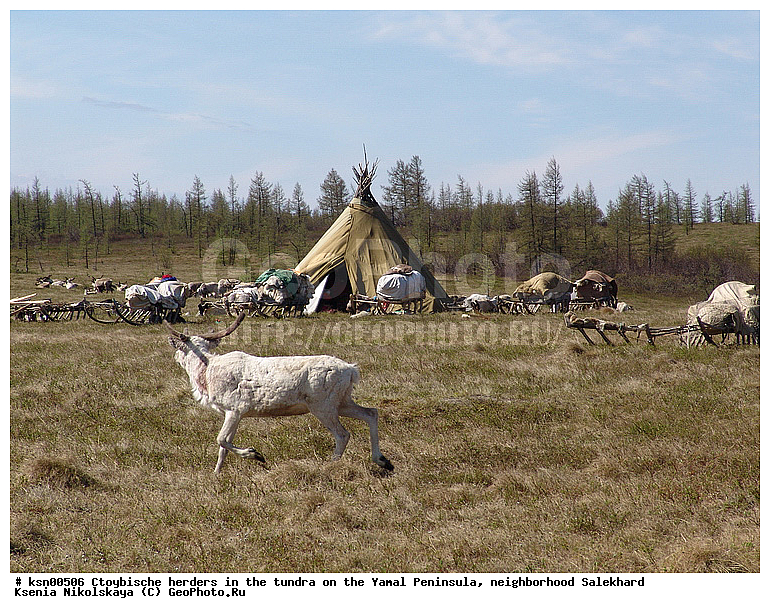 ���, ������, ��������, ����, �����, �����, ��������, �����, ���������� ����, ��������, ��������, ������, �����