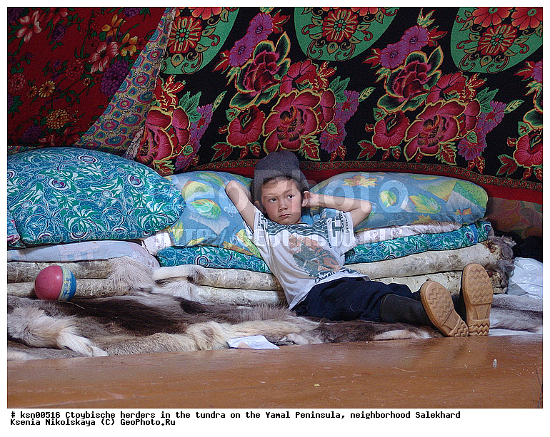 ���, ������, ��������, ����, �����, �����, ��������, �����, ���������� ����, ��������, ��������, ������, �����