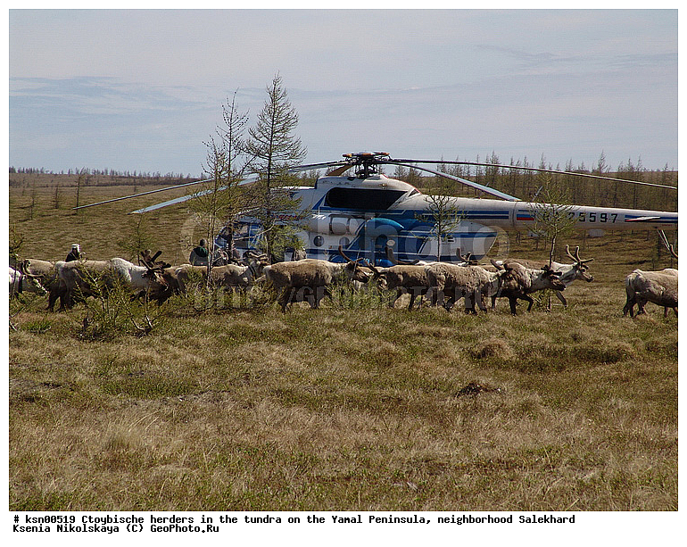 ���, ������, ��������, ����, �����, �����, ��������, �����, ���������� ����, ��������, ��������, ������, �����