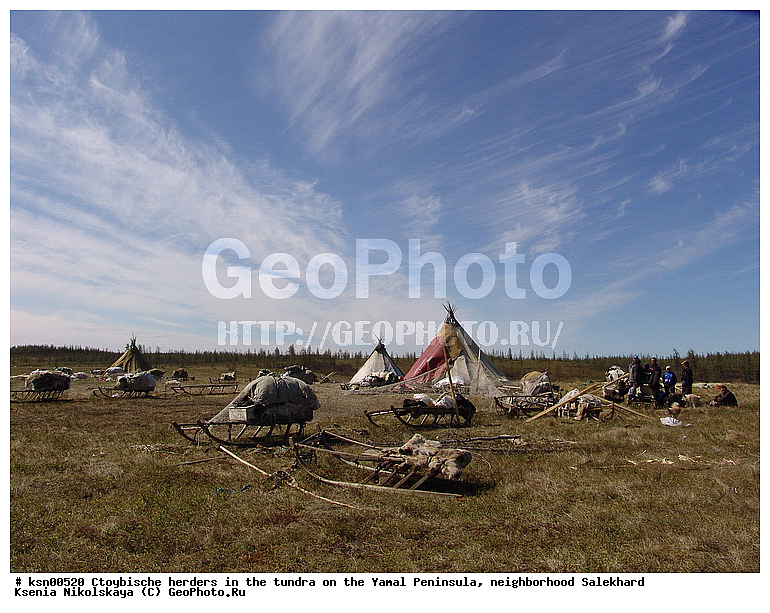 ���, ������, ��������, ����, �����, �����, ��������, �����, ���������� ����, ��������, ��������, ������, �����