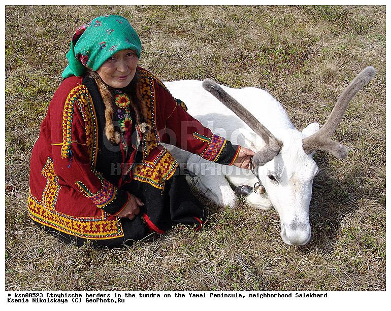 ���, ������, ��������, ����, �����, �����, ��������, �����, ���������� ����, ��������, ��������, ������, �����, ��������, ��������, �������������, �������������, �����, �����, XYZ,��������, ������, Cervidae, �������� �����, ������, Rangifer tarandus