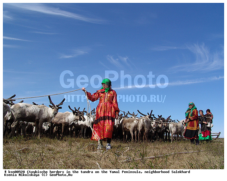 ���, ������, ��������, ����, �����, �����, ��������, �����, ���������� ����, ��������, ��������, ������, �����, ��������, ��������, �������������, �������������, �����, �����, XYZ,��������, ������, Cervidae, �������� �����, ������, Rangifer tarandus