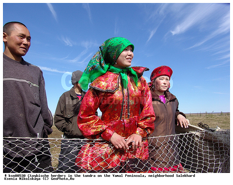 ���, ������, ��������, ����, �����, �����, ��������, �����, ���������� ����, ��������, ��������, ������, �����