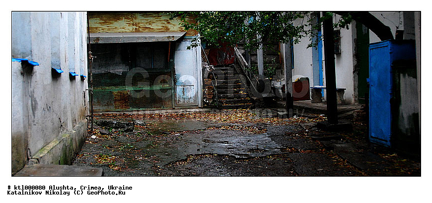 ������, ���-���������, ���, �����