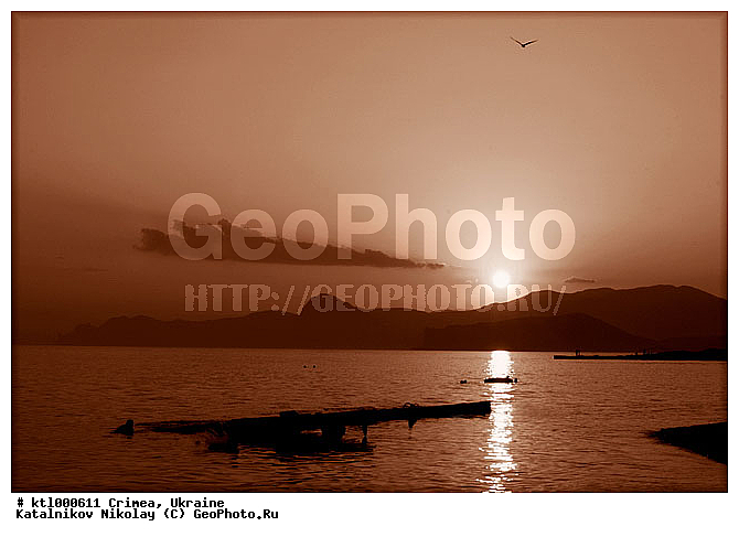 ����, �������