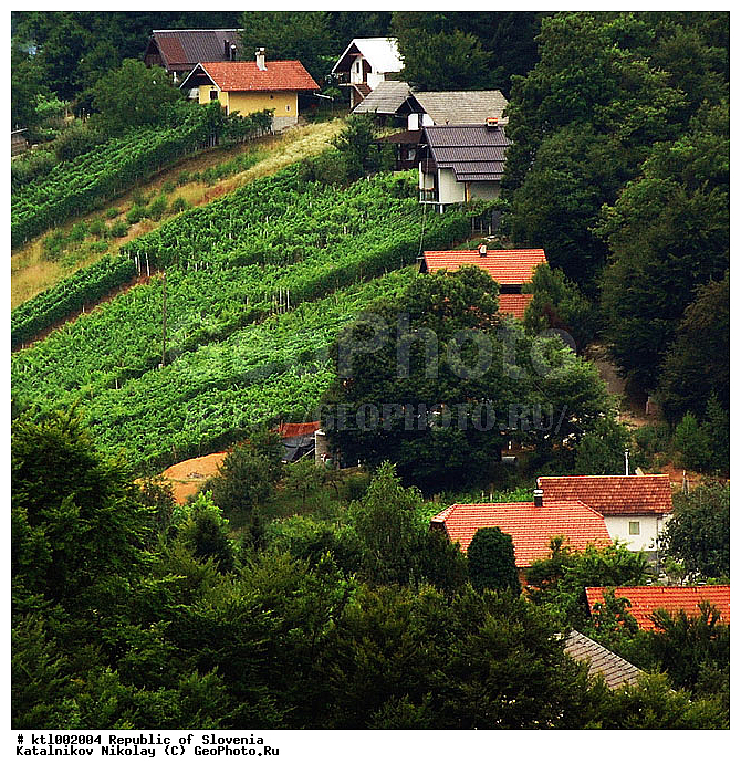 ������������, ��������