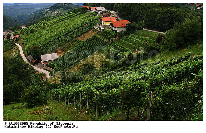 ������������, ��������