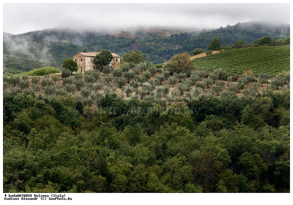 ��������, ������, �����������