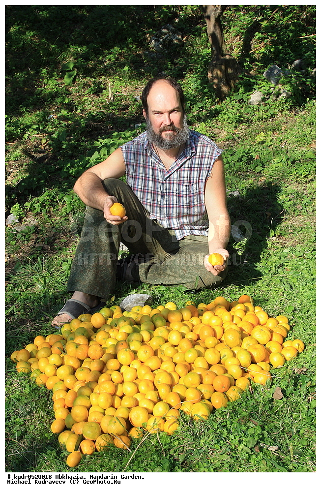 �������, ������������ ���, ���, ���������