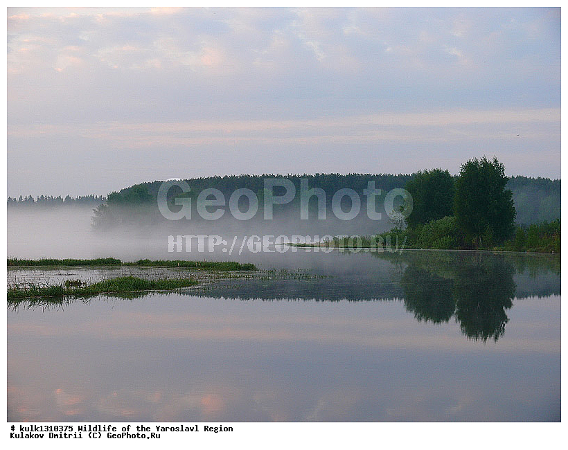 ����������� �������, �������, ������, ������� ������