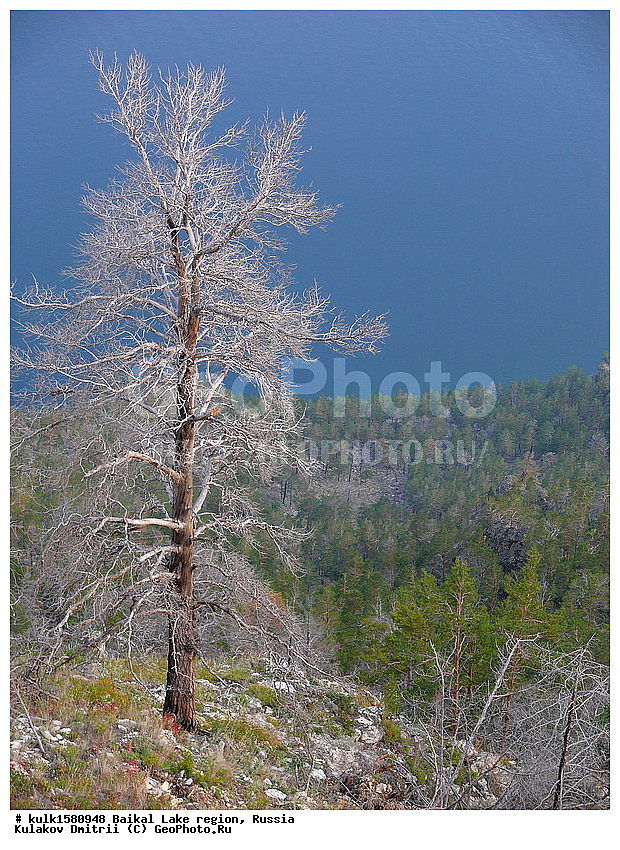 ���������� �������, ������, ���������� �������, ������