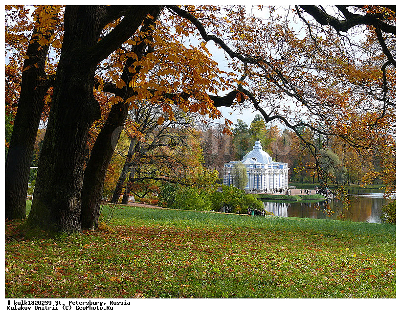 ����� ���������, �����, ���������, ������, ������, ����, �������������� ����