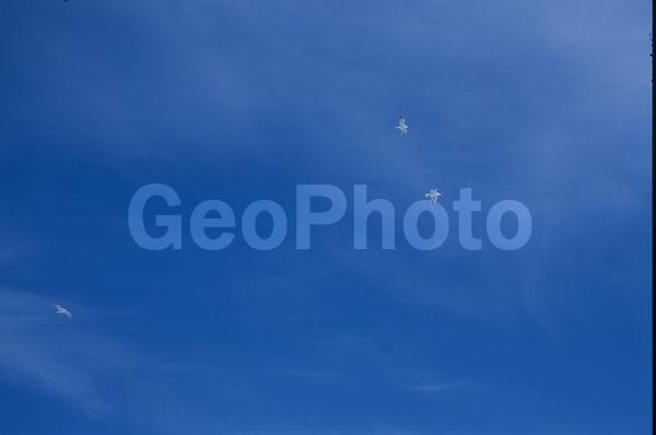 ������, �������� ����, �������� ������, ������