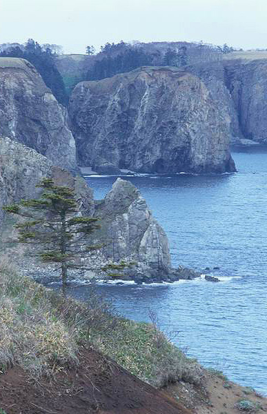 ������� ������, ������, ����, ������, ������ �������