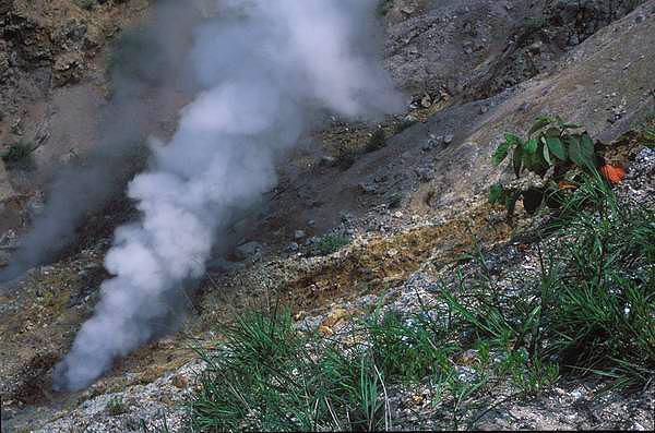 ������� ����� �����, ������� ������, ������, ����, ������, ����, ������