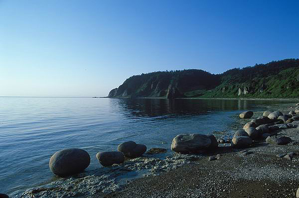 ������� ������, ������, ����, ������