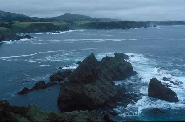 ������� ������, ������, ����, ������