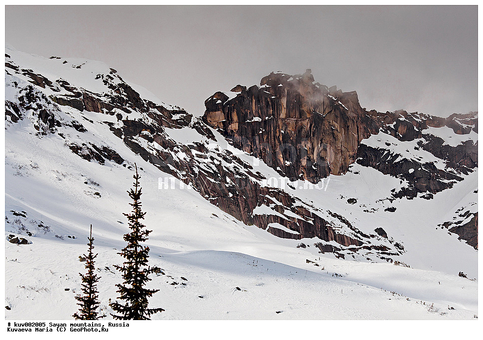 ����, �����, ������ ������, ����, ����, �����, ��������� ���� ������, ������, �������, ������������ ����, ��������� ����������� �����, ���