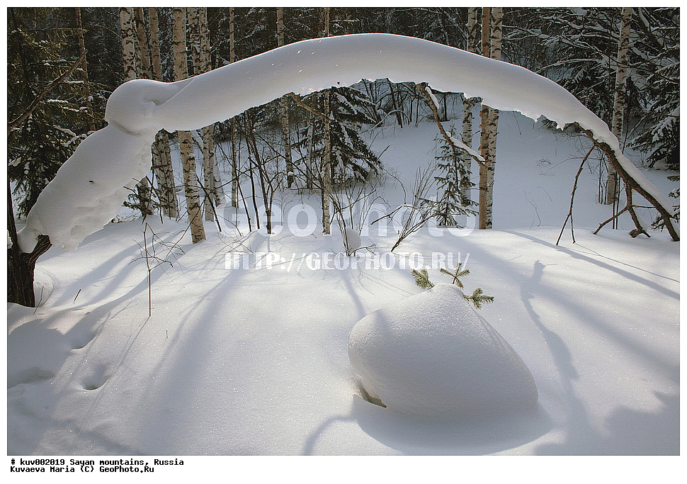 ����, ����, �����, ������ ������, ����, ������������ ����, �����, �������, ����, �������, ��������� ����������� �����, ���