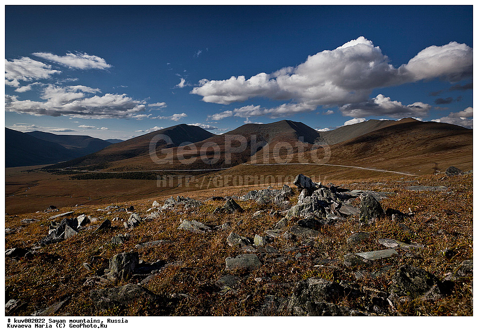 ����, �����, �����, �������, ����, �������, ������, �����, �����, �������� �������, ��������� ����������� �����, ���