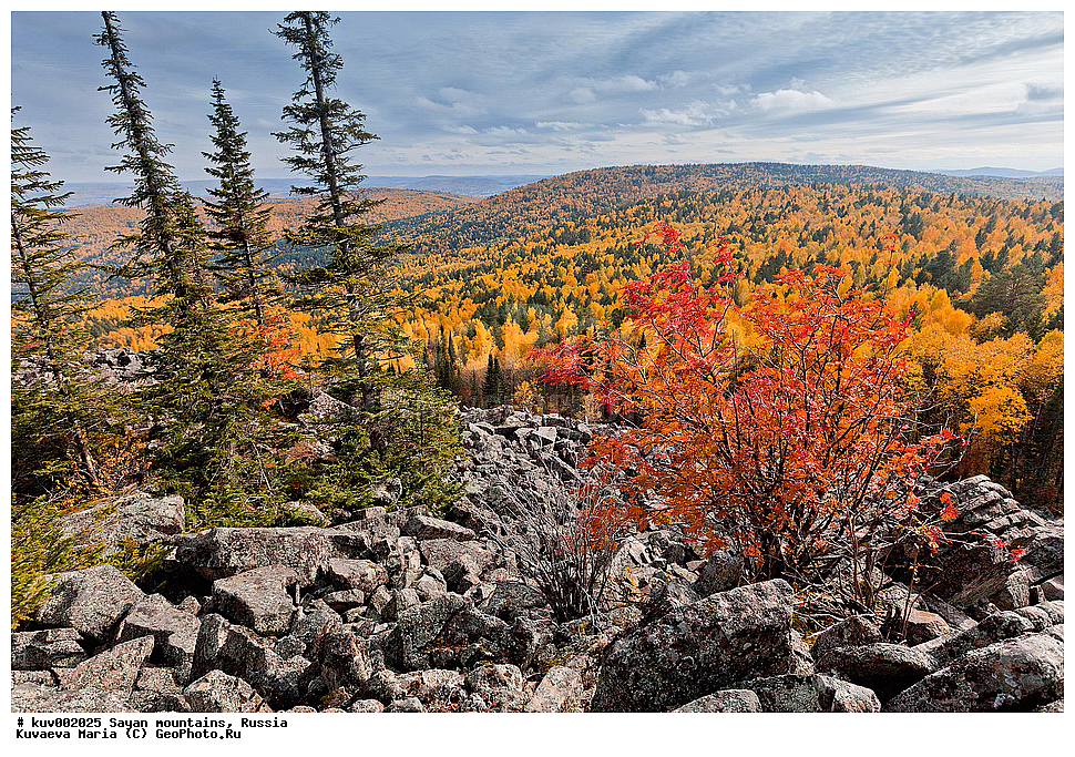 ����, ������� �����, �����, ������������ ����, ��������, �����, ������ �����, ������, ���, ������, ��������� ����������� �����, ���