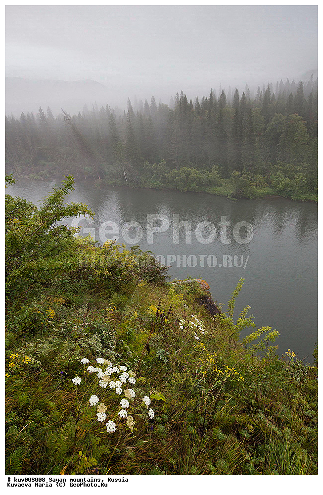 ������, ����, ����, ����, �������, �����, ����� �������, �����, �����, ���, �����, �����, ��������� ����������� �����, ���