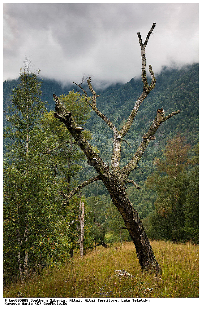 ������, ���������� ������ �����, ����� ��������, ������ ���������, ������, ������, ����, ��������� ����������� �����, ���