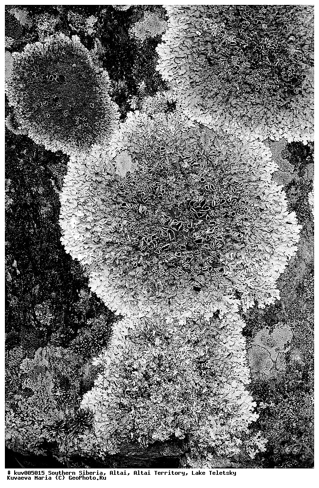 ������, ���������� ������ �����, ����� ��������, ������, ��������, ����� �����, ��������� ����������� �����, ���