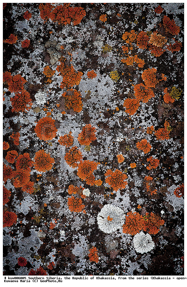 ����� ������, ���������, �������, �������,  ���������� �������, �������, �����, �������, �����, ���������, ��������, ������� ���������� ������, ������, ������ �����, ���-���, ��������� ����������� �����, ���